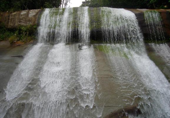 فندق Alojamiento Campestre. San Carlos, Antioquia. المظهر الخارجي الصورة